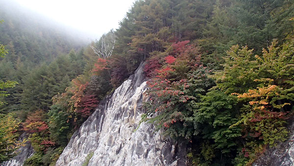 しらびそ高原付近の紅葉